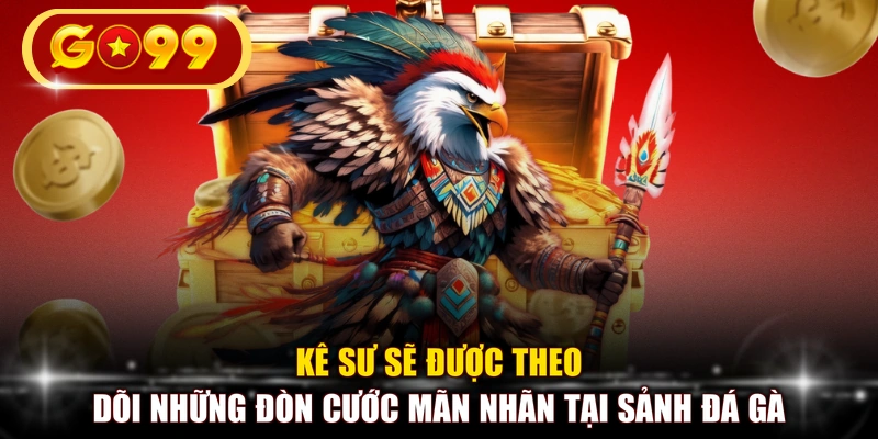 Kê sư sẽ được theo dõi những đòn cước mãn nhãn tại sảnh đá gà